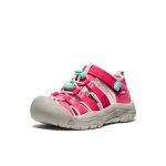 Little Kids' Newport H2  |  Raspberry/Giggle Pink