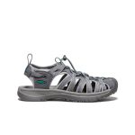 Women's Whisper  |  Medium Grey/Peacock Green