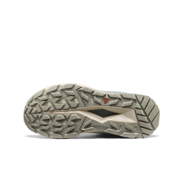 Women's Targhee Apex Waterproof Hiking Boot  |  Abbey Stone/Birch