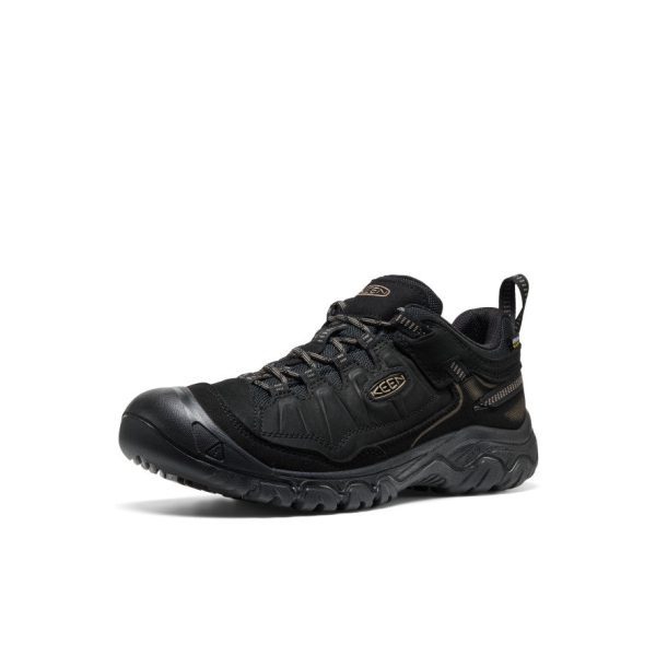 Men's Targhee IV Waterproof Hiking Shoe  |  Triple Black