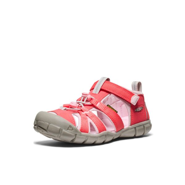Big Kids' Seacamp II CNX  |  Dubarry/Giggle Pink